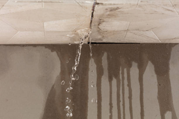 Professional Water Extraction technician working in Livingston, IL